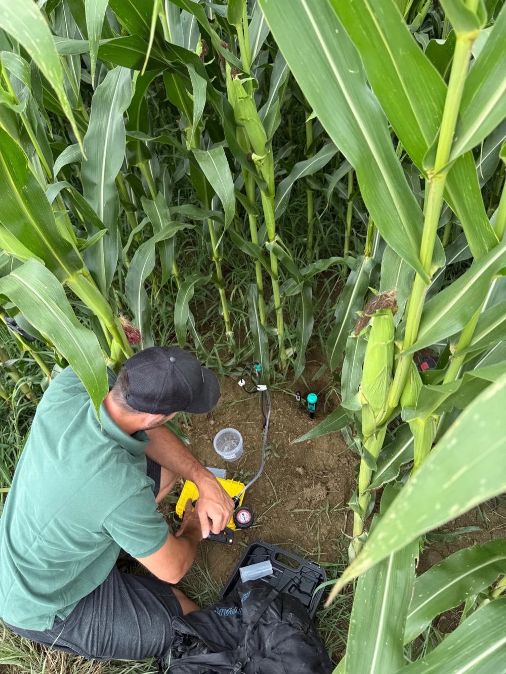 Soil sampling